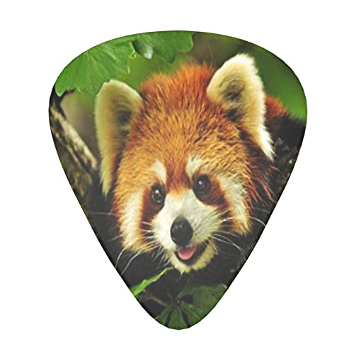Lot de 12 médiators motif panda rouge pour guitare basse électrique et acoustique - Les Beatles, Paul McCartney, John Lennon, RIngo Starr, George Harrison Lot de 12 médiators motif panda rouge pour guitare basse électrique et acoustique