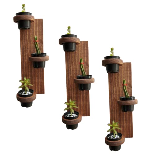 Kit Com 3 Jardins Verticais Para Suculentas- Jardim Vertical