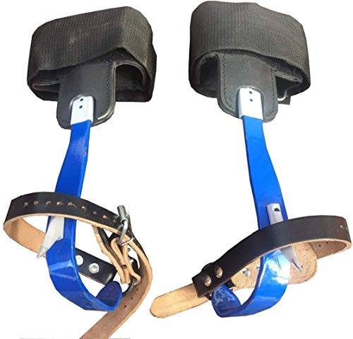 AGS Tree Climbing Spikes Kit with Comfort Pads