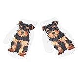 🌸🌸 Handschuhe Mode Winter Damenmode Damen Hüte Mütze Leder Beanie Herren Damen Radsport Outdoor Sport Winterhandschuhe schwarz Warme Strickwolle Sport & Freizeit Herrenmode Gel Warme Handschuhe Fahrradfell Touchscreen Fingerlose Handschuhe Handschuhe Damenhandschuhe Hochzeit Modeaccessoires Motorrad Bikes Handschuhe & Fäustlinge Spitzenmode Handschuhe Süße Lederhandschuhe Partei Korean Bridal Baseball Cap schöne Kaninchen Unisex Schal Geschenke Kleid Hochzeit Handschuhe Plüsch