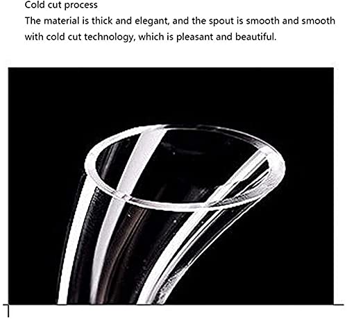 Carafe à whisky en forme de cygne grand format 2000 ml