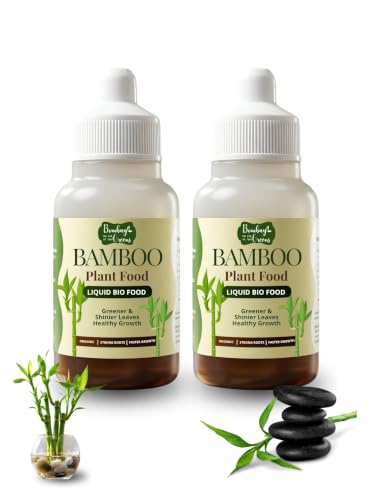 Image of Bombay Greens Liquid Bamboo Food for Plants | Growth Booster for Water Grown Plants | Essential Nutrient Plant Booster for Indoor Bamboo, Dracaena Plants - Pack of 2, 50ml Each