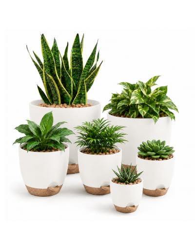 Bamworld Self Watering Plant Pots Indoor Set of 6 Plastic Flower Pots 12.7/14/15.2/16.5/17.8/20.3 cm with Saucers and Drainage Holes for Outdoor Windowsill Garden DecorWhite