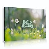 こんにちは春のキャンバスウォールアート白い花緑の自然風景キャンバスプリントリビングルーム寝室ダイニング自由奔放に生きる家の装飾30x42cmインナーフレーム