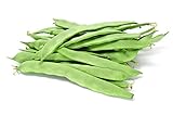 Scarlet Runner Pole Bean Garden Seeds, 30 Heirloom Seeds Per Packet, Non GMO Seeds