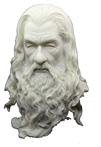 XCTLZG Résine Artisanat Seigneur des Anneaux Sculpture Gandalf Statue Hobbit Maître Buste Tête Décoration De Bureau Décoration Cadeau Figurines Cover