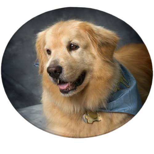 Personalization Universe Pet Photo Personalized Wireless Charging Pad