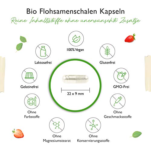 Flohsamen Vit4ever Bio Schalen – 365 vegane Kapseln