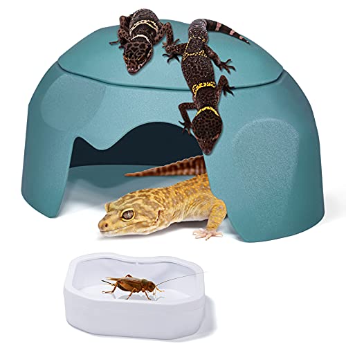 Fischuel Reptile Hides Humidification Cave Help Your Pets Shedding , A Damp Hideout with Natural Rock designto, Suitable…
