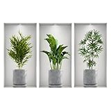 RDTOK 3 Stück 3D Wandtattoos, Selbstklebende Grüne Pflanzen Vasen Blumen Wandbilder für Wohnzimmer Schlafzimmer Küche Büro, Wasserdichte PVC Wandsticker Wandaufkleber 23 x 45 cm (B)