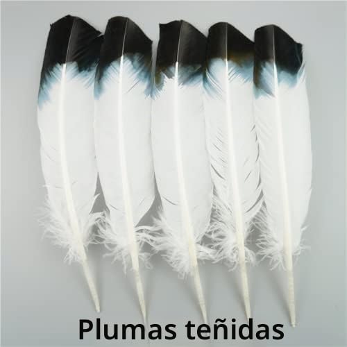RAEF 10 unids/Lote de Plumas de águila Naturales para Manualidades, Accesorios de Tocado, decoración navideña, Plumas de Carnaval, decoración Artesanal DIY