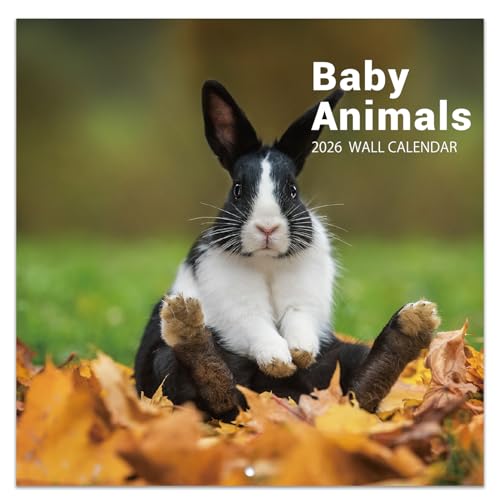 2026 Calendar - 2026 Wall Calendar