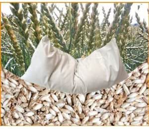 Lot 2kg Noyaux De Cerises Bio - Garnissage Coussin Chauffant Naturel - Qualité Supérieure