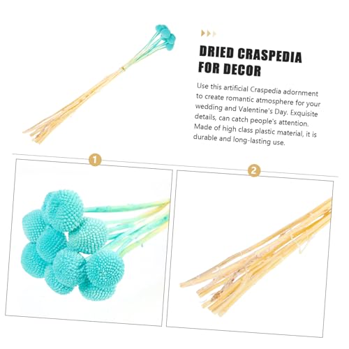 GARVALON 10 piezas Flores Secas Craspedia para Decoración miniatura 5