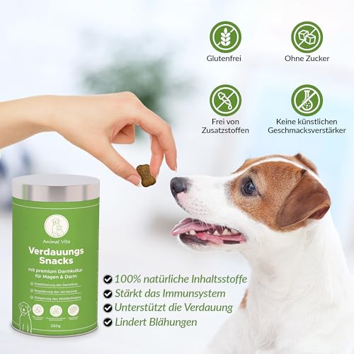 Animal Vita® Verdauungs-Snacks für Hunde mit Probiotika [100% natürliche Inhaltsstoffe] - Probiotika als Leckerli - frei von Getreide und Zucker, Probiotic (250g) - Vorratspack