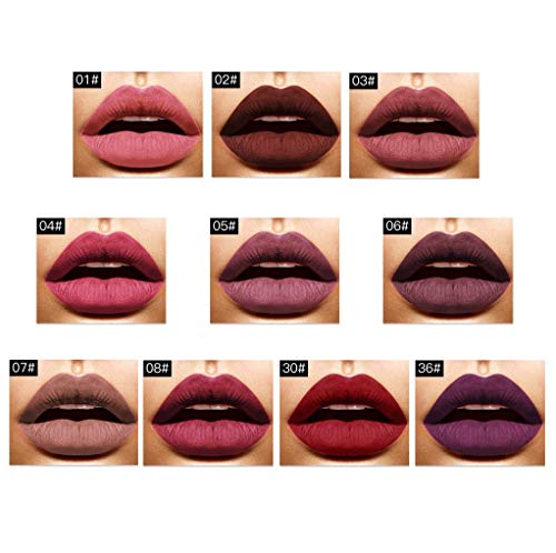 Set di 10 lucidalabbra liquidi, impermeabili