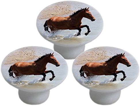 Horse on Beach Day Ceramic Cabinet Drawer Knob (Set of 10 Knobs)