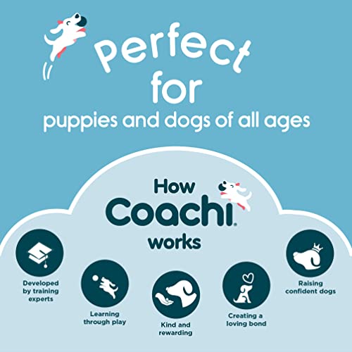 Coachi Training Dumbbell, schwimmt, weites Werfen, klassisches Apportierspielzeug, Jagdhund- und Welpentraining. Hundezubehör, sehr robust und beständig, für kleine Hunde und Welpen
