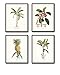 Tropical Botanical Prints Set Botanical Prints, Wall Art Prints, Vintage Wall Art, Vintage Wall Decor, Vintage Art Prints, Botanical Wall Decor, Vintage Botanical Prints - Unframed