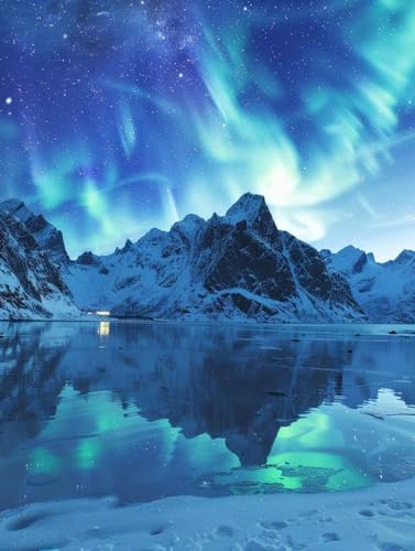  yCgoCio[ R DIY G ANG̋ ZbgƃuVt G lp S G hG  A[gNtg z[fR[V av[g 40x50cm 0-4363