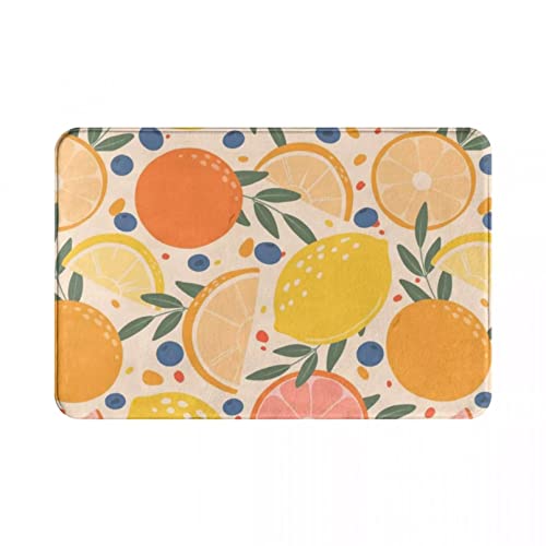 WAXB Tapis Entrée Blueberry Citrus Paillasson Tapis Tapis Tapis Repose-Pieds Antidérapant Eau Résistant À l'huile Chambre Avant Couloir Cuisine Chambre Balcon Cover