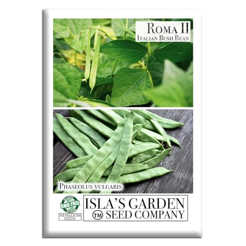 Roma II Italian Bush Bean Seeds (Phaseolus vulgaris) – 30+ Heirloom Non GMO Seeds by Isla’s Garden Seeds – Delicious Flat Green Pods for Home Vegetable Gardens, Easy to Grow Bush Beans, Gift Idea