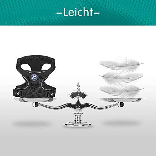 PoyPet Reflektierendes, weiches, atmungsaktives Hundegeschirr aus Mesh, erstickungsfreie, doppelt gepolsterte Weste mit verstellbarem Hals und Brust(Schwarz,M)