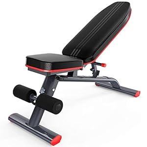 Gewichten Bench Gym Gewichtsbank Drukverstelbare banken Halterbank Modieuze Vogel Bench Druk Halter Bench Sit-Up Board Fitness Apparatuur Thuis-Functie Aid Fitness Stoel