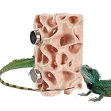 Generico Lebensraum für Spinnen Springer Magnetischer Schutz für Reptilien