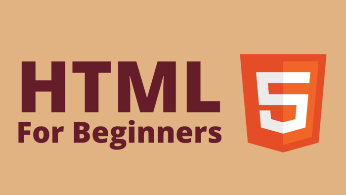 Best Beginner Book For Html Css