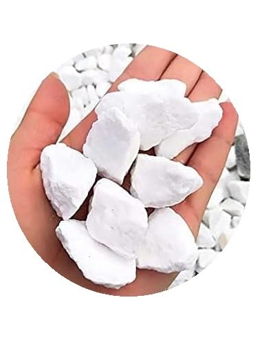 Decorative Garden Stones, Pebbles, Cobbles, Slate, Paddlestones, Gravel, Chippings, Aggregate, 20 kg, Various Colours (Extra White Chipping 16-32mm)
