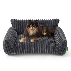 Cute Couch Bed for Pets, Supportive Cat Sofa for Indoor Cats, Small Dog Sofa Bed for Small Dogs, Grey, 24 inches