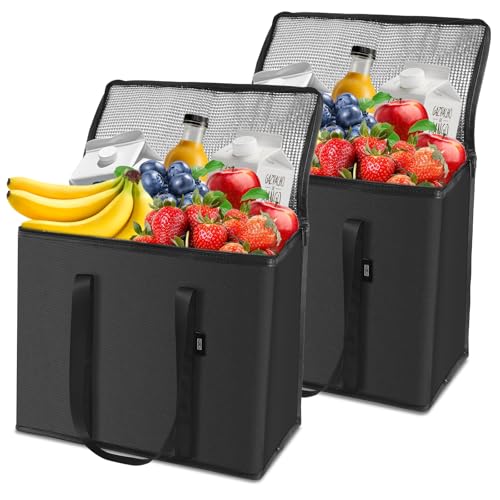 ORILUME 2-Pack Cold Storage Bag