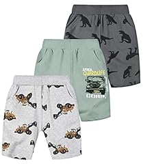 Dinosaur/Car/Excavator