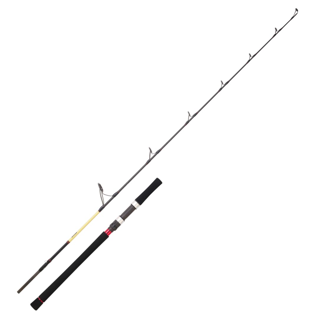 Daiwa Canne Jigging Grandwave Sb 662 Xhb Off Set - Cebo de fundición - 1,99 m - 172 g - P.Max.220g - Enc.148 cm - GWSB662XHBOSBF - Equipo para la pesca deportiva