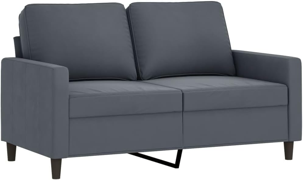 2-Seater Sofa Dark Grey Velvet (100% Polyester) Living Room Furniture