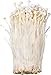Organic Natural Pure Enoki Mushroom (flammulina velutipes) Enokitake Dried Bulk Herbs -(3.52 Ounce (100gram))