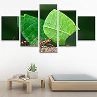 SIGNWIN 5 Panel Canvas Wall Art Modern Art Ants Butterfly Colorful Insects Minimalist Multicolor Photography for Home Decorations Ready to Hang - 60