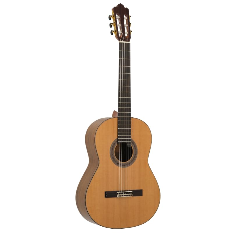 Prodipe 6 corde per chitarra classica (Soloist 900)