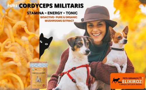 Image of Cordyceps Mushroom Extract for Dogs & Cats - 25%+ Beta Glucans - Fruiting Body (8:1-12:1 Concentrated) - Energy, Stamina & Vitality Support - No Fillers - 250 Servings