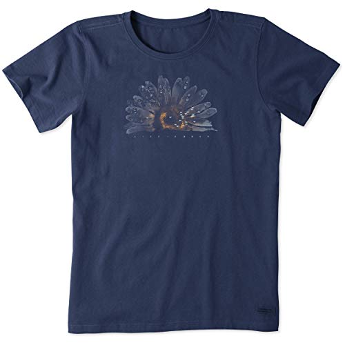 Chemise femme watercolor daisy t-shirt en coton imprimé floral décontracté