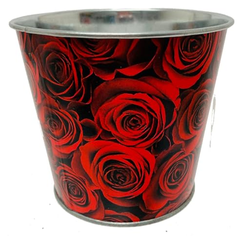 212 Main Red Roses Bucket