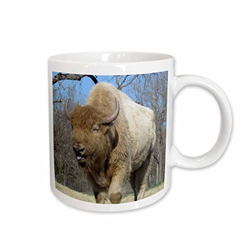 3dRose American Bison - buffalo Nature n 11oz Mug