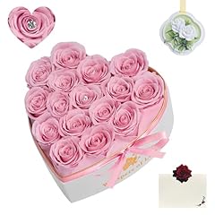 Pink 16 Roses