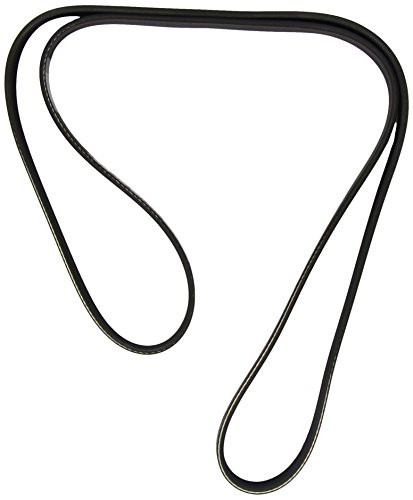 Courroie striée DAYCO 7PK1595 de rechange pour véhicule thermique