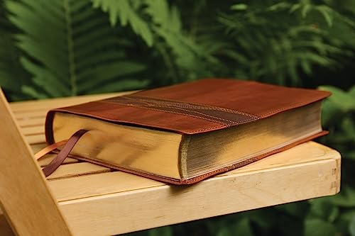 Image of Rooted: The NIV Bible for Men, Leathersoft, Brown, Comfort Print: Shaping Men for Faithful Living in Today's World