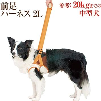 Amazon 犬 歩行 介護用品 歩行補助 前足 ハーネス 2l 高齢犬 シニア 老犬 犬用 ドッグダイナー ハーネス 通販