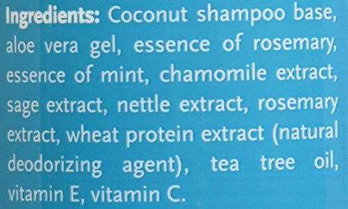 Cloud Star, Buddy Wash Rosemary Mint, 16 Ounce #TOP4