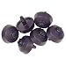 Toro 53621 Blue Stripe Drip NGE 1.0 GPH Emitters Sprinkler (6 Pack)