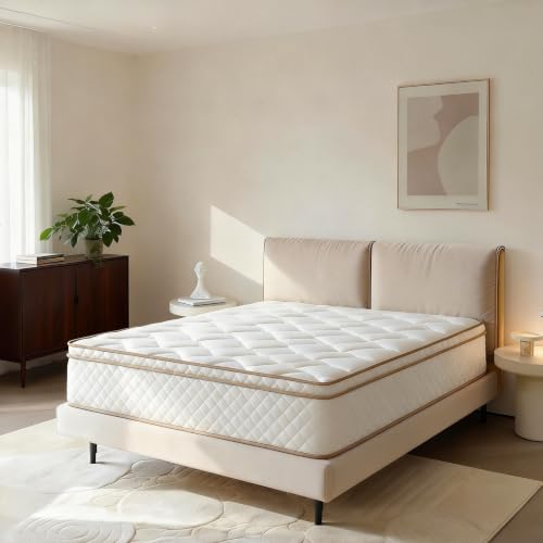 Queen Size Mattress 10 Inch, Hybrid Mattress in a Box with Individually Pocketed Coils for Motion Isolation, Medium Firm Pressure Relief, Cooling Gel Memory Foam, CertiPUR-US Certified